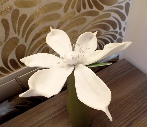 Pensjonat Thanhoffer *